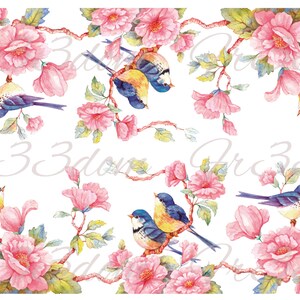 Waterslide Decals Shabby Chic Furniture Image Transfer Vintage Antiek Home Craft Label Crafts Scrapbooking Card Making DIY Bird Scene