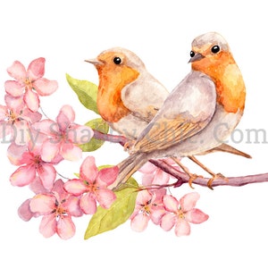 Waterslide Decals Shabby Chic Furniture Image Transfer Vintage Antique Home Craft Label Crafts Scrapbooking Card Making DIY 2 Robins
