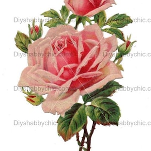 Waterslide Decals Shabby Chic Furniture Image Transfer vintage Antique Home Craft Label Crafts Scrapbooking Card Making DIY Pretty Roses