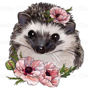 Waterslide Decals Shabby Chic Furniture Image Transfer Vintage Antique Home Craft Label Crafts Scrapbooking Card Making DIY Hedgehog Rose