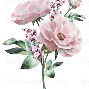 Waterslide Decals Shabby Chic Furniture Image Transfer Vintage Antique Home Craft Label Crafts Scrapbooking Card Making DIY Pink Wild Rose