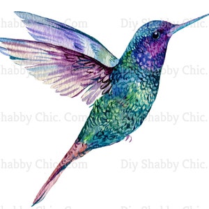 Waterslide Decals Shabby Chic Image Transfer Vintage Antique Home Craft Label Crafts Scrapbooking Card Making DIY Hummingbird Drawing