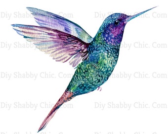 Waterslide Decals Shabby Chic Image Transfer Vintage Antique Home Craft Label Crafts Scrapbooking Card Making DIY Hummingbird Drawing