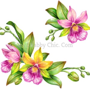 Waterglijbaan stickers shabby chique meubels afbeelding transfer vintage antieke ambachtelijke label scrapbooking kaart maken diy mooi roze gele bloemen
