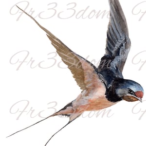 Wasserschiebeaufkleber, Diy Shabby Chic, Möbeltransfer, Vintage Bildtransfer, Antique Home Craft 225 Flying Swift