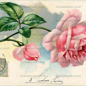 Waterslide Calcomanías Shabby Muebles Chic Transferencia vintage antigua casa artesanía etiqueta artesanías scrapbooking tarjeta haciendo diy carta rosa
