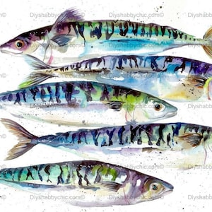 Calcomanías de tobogán Decales Shabby Muebles Chic Transferencia vintage antigua casa artesanía artesanías scrapbooking tarjeta haciendo sardinas diy