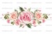 Waterslide Decals Shabby Chic Furniture Image Transfer Vintage Antique Home Craft Label Crafts Scrapbooking Card Making DIY Florist Rose 