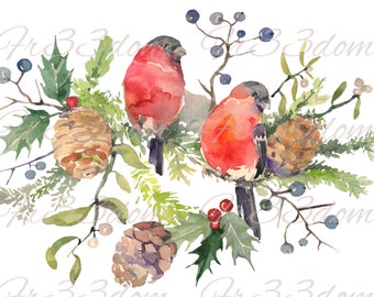 Calcomanías de tobogán, bricolaje Shabby Chic, transferencia de muebles, transferencia de imagen vintage, artesanía casera antigua 211 conos y pájaros