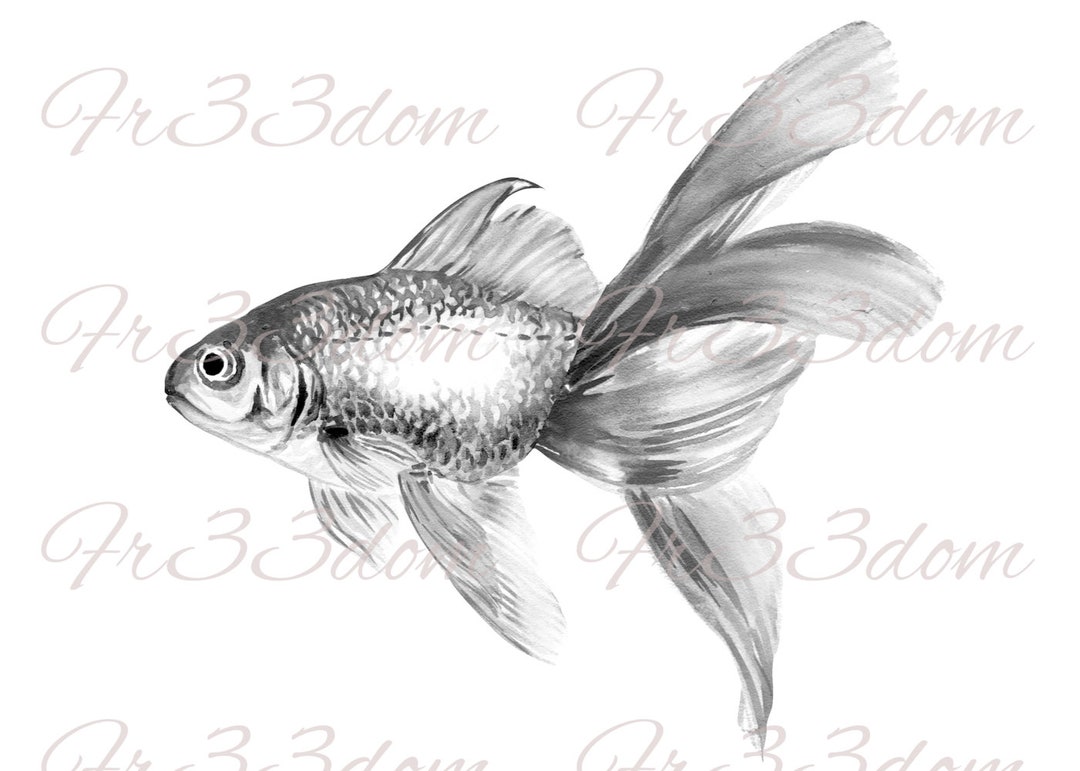 Curated visual reference: Goldfish And Shabby Chic Decor Reference: Waterslide Decals DIY Shabby Chic Furniture Transfer Vintage Image Transfer