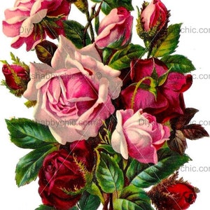 Waterslide Decals Shabby Chic Furniture Image Transfer vintage Antique Home Craft Label Crafts Scrapbooking Card Making DIY Dark Red Roses