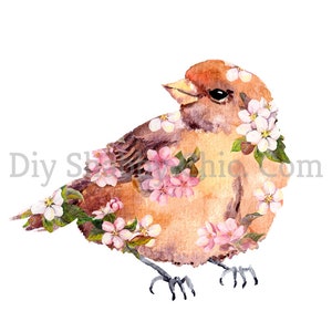 Waterslide Decals Shabby Chic Image Transfer Vintage Antique Home Craft Label Crafts Scrapbooking Card Making DIY Bird met Blossom