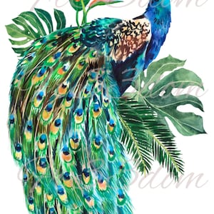 Wasserschiebeaufkleber, Diy Shabby Chic, Möbeltransfer, Vintage Bildtransfer, antikes Haus Handwerk 114 Jungle Peacock
