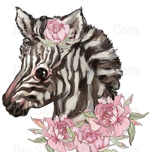 Waterslide Decals Shabby Chic Furniture Image Transfer vintage Antique Home Craft Label Crafts Scrapbooking Card Making DIY Zebra Rose