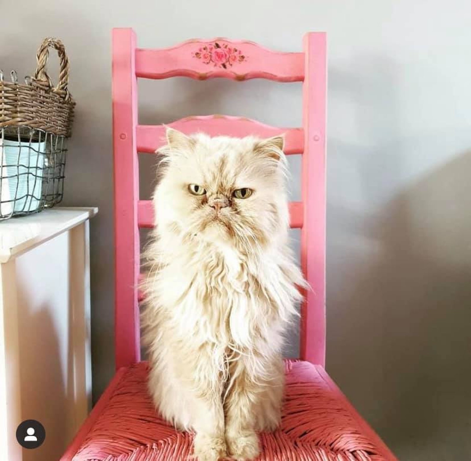 Waterslide Decal Sealer Matt Acrylic Varnish Hand Painted Etsy