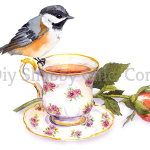 Waterslide Decals Shabby Chic Furniture Image Transfer vintage Antique Home Craft Label Crafts Scrapbooking Card Making DIY Bird Tea Cup