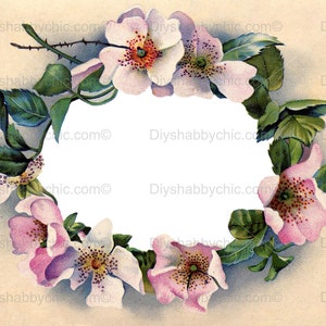 Waterslide Decals Shabby Chic Furniture Image Transfer Vintage Antique Home Craft Label Crafts Scrapbooking Card Making DIY Wild Rose Label