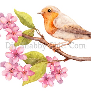 Geschnitten und kleben klar weiß Möbel Wand Selbstklebende Aufkleber Vinyl Perlmutt Bastelpapier Rotkehlchen Blüte