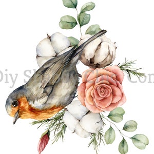 Waterslide Calcomanías Shabby Muebles Chic Transferencia vintage antigua casa artesanía artesanías scrapbooking tarjeta haciendo diy Robin Rose