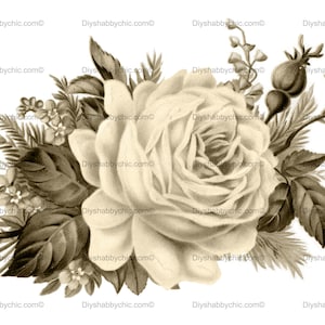 Waterslide Stickers Shabby Chic Furniture Image Transfer Vintage Antique Home Craft Label Crafts Scrapbooking Card Making DIY Rosesepia