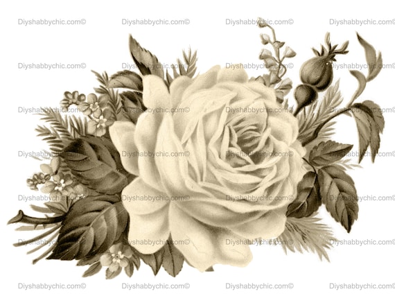 Furniture Decal Vintage Image Transfer Cabbage Rose Upcycle Shabby Chic Antique
