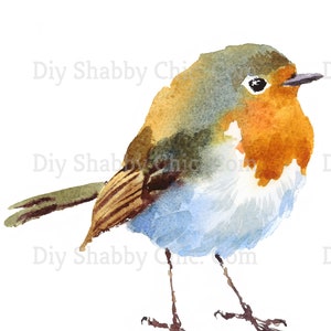 Waterslide Decals Shabby Chic Image Transfer vintage Antique Home Craft Label Crafts Scrapbooking Card Making DIY Aquarelle Robin