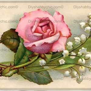 Waterslide Decals Shabby Chic Furniture Image Transfer vintage Antique Home Craft Label Crafts Scrapbooking Card Making DIY lily Waterslide Decals Shabby Chic Furniture Image Transfer vintage Antique Home Craft Label Crafts Scrapbooking Card Making DIY lily Waters Waterslide Decals Shabby Chic Furniture Image Transfer vintage Home Craft Craft Scrapbooking Card Making DIY lily Waters Watersl