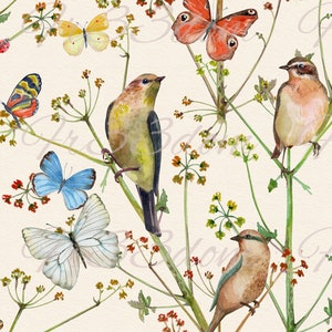Schneiden & Kleben, Selbstklebende Aufkleber, Möbel, Wandaufkleber, klar, Transfer, Journal, Collage, Mixed Media, Kinderaufkleber, 388 Sepia Vögel