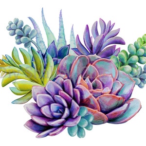 Waterglijbaan stickers Shabby Chique meubels Afbeelding Transfer Vintage Antieke Home Craft Label Scrapbooking Card Making DIY Succulent Bouquet