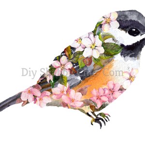 Tobogán de agua Calcomanías Shabby Chic Muebles Transferencia de imágenes Vintage Antique Home Craft Label Artesanías Scrapbooking Card Making DIY Floral Finch