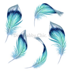 Waterglijbaan stickers Shabby Chique meubels Afbeelding Transfer Vintage Antieke Home Craft Label Ambachten Scrapbooking Card Making DIY Five Feathers