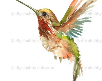 Waterslide Decalcomanie Shabby Chic Image Transfer Vintage Antique Home Craft Label Crafts Scrapbooking Card Making Fai da te Colibrì verde