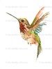 Waterslide Decals Shabby Chic Image Transfer Vintage Antique Home Craft Label Crafts Scrapbooking Card Making DIY Green Hummingbird 