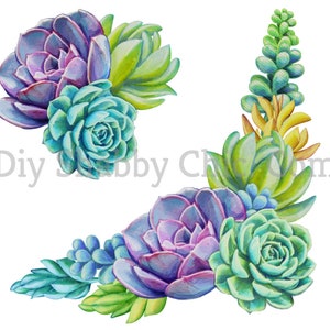 Tobogán de agua Calcomanías Shabby Chic Muebles Transferencia de imágenes Vintage Antique Home Craft Label Scrapbooking Card Making DIY Succulent Corners