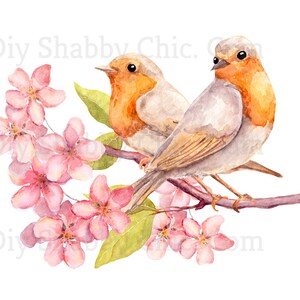 Calcomanías de tobogán, Diy Shabby Chic, Transferencia de muebles, Transferencia de imagen vintage, Artesanía casera antigua 14 2 Robins