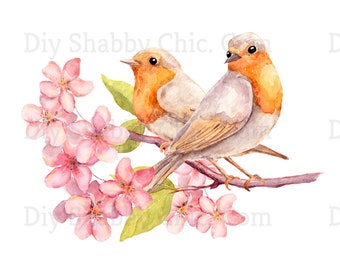 Waterslide Decals, Diy Shabby Chic, Furniture Transfer, Vintage Image Transfer, Antique Home Craft 14 2 Robins