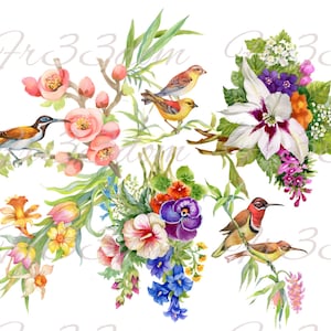 Tobogán de agua Calcomanías Shabby Chic Muebles Transferencia de imagen Vintage Antigüedades Caseras Artesanía Etiqueta Artesanías Scrapbooking Tarjeta Haciendo bricolaje Floristería Aves