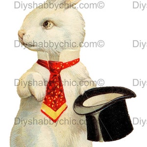 Waterslide Stickers Shabby Chic Furniture Image Transfer Vintage Antique Home Craft Label Crafts Scrapbooking Card Making DIY Whiterabbit