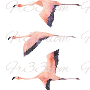 Calcomanía de tobogán de agua o pegatina transparente, Diy Shabby Chic, Muebles de pared vintage Transferencia de imágenes Antique Home Craft Art Upcycle 220 Flamingo Flying