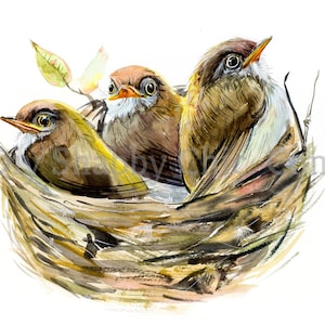 Geschnitten und Stick Klar weiß Möbel Wand Selbstklebende Aufkleber Vinyl Perlmutt Bastelpapier Vögel Nest
