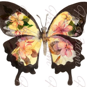 Schneiden & Kleben, Selbstklebende Aufkleber, Möbel, Wandaufkleber, klar, Transfer, Kunst, Collage, Kinder Aufkleber, 297 Aquarell Schmetterling
