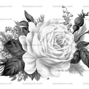 Waterslide Decals Shabby Chic Furniture Image Transfer vintage Antique Home Craft Label Crafts Scrapbooking Card Making DIY Rosebw
