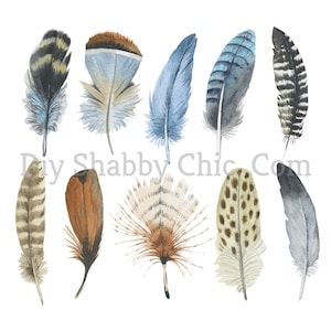 Calcomanías de tobogán Decales Shabby Muebles Chic Transferencia vintage antigua casa artesanía artesanías scrapbooking tarjeta haciendo DIY 10 plumas