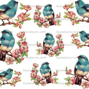 Waterslide Calcomanías Shabby Chic Image Transfer Vintage Antique Home Craft Label Craft Crafts Scrapbooking Card Making DIY Blue Bird Blossom