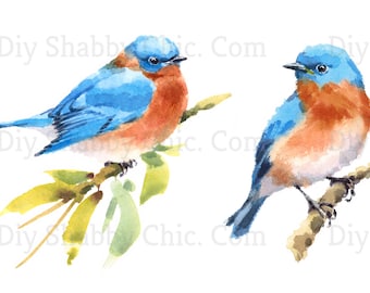 Calcomanías de tobogán, Diy Shabby Chic, Transferencia de muebles, Transferencia de imagen vintage, Artesanía casera antigua 41 2 pájaros