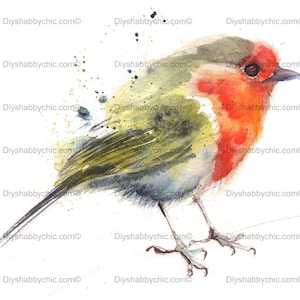 Waterslide Stickers Shabby Chic Furniture Image Transfer Vintage Antique Home Craft Label Crafts Scrapbooking Card Making DIY Robin