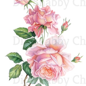 Décalcomanies de toboggan, bricolage Shabby Chic, transfert de meubles, transfert d'image vintage, artisanat de maison antique 48 belles roses roses