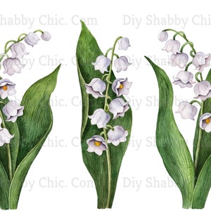 Waterslide Decals Shabby Chic Image Transfer Vintage Antique Home Craft Label Crafts Scrapbooking Card Making DIY Lily of the Valley