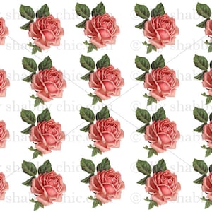 Waterslide Decals Shabby Chic Image Transfer Vintage Antique Home Craft Label Crafts Scrapbooking Card Making DIY Roze Rozen Bloemen