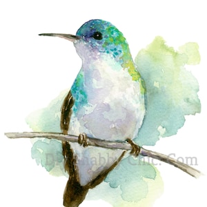 Tobogán de agua Calcomanías Shabby Chic Muebles Transferencia de imágenes Vintage Antique Home Craft Label Scrapbooking Card Making DIY Sitting Hummingbird